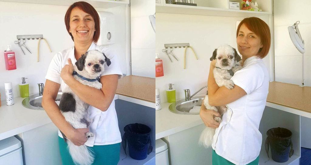 Veterinarska ambulanta Bošnjak i Mioč