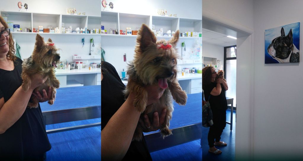 Veterinarska ambulanta Bošnjak i Mioč